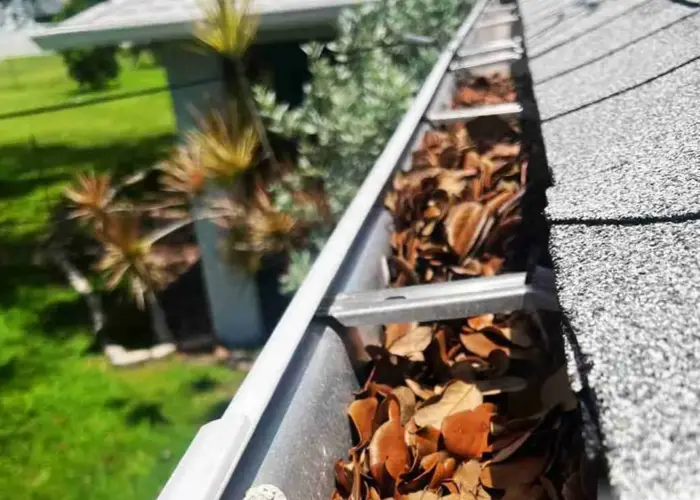 Gutter Cleaning Atlantic Beach FL home page